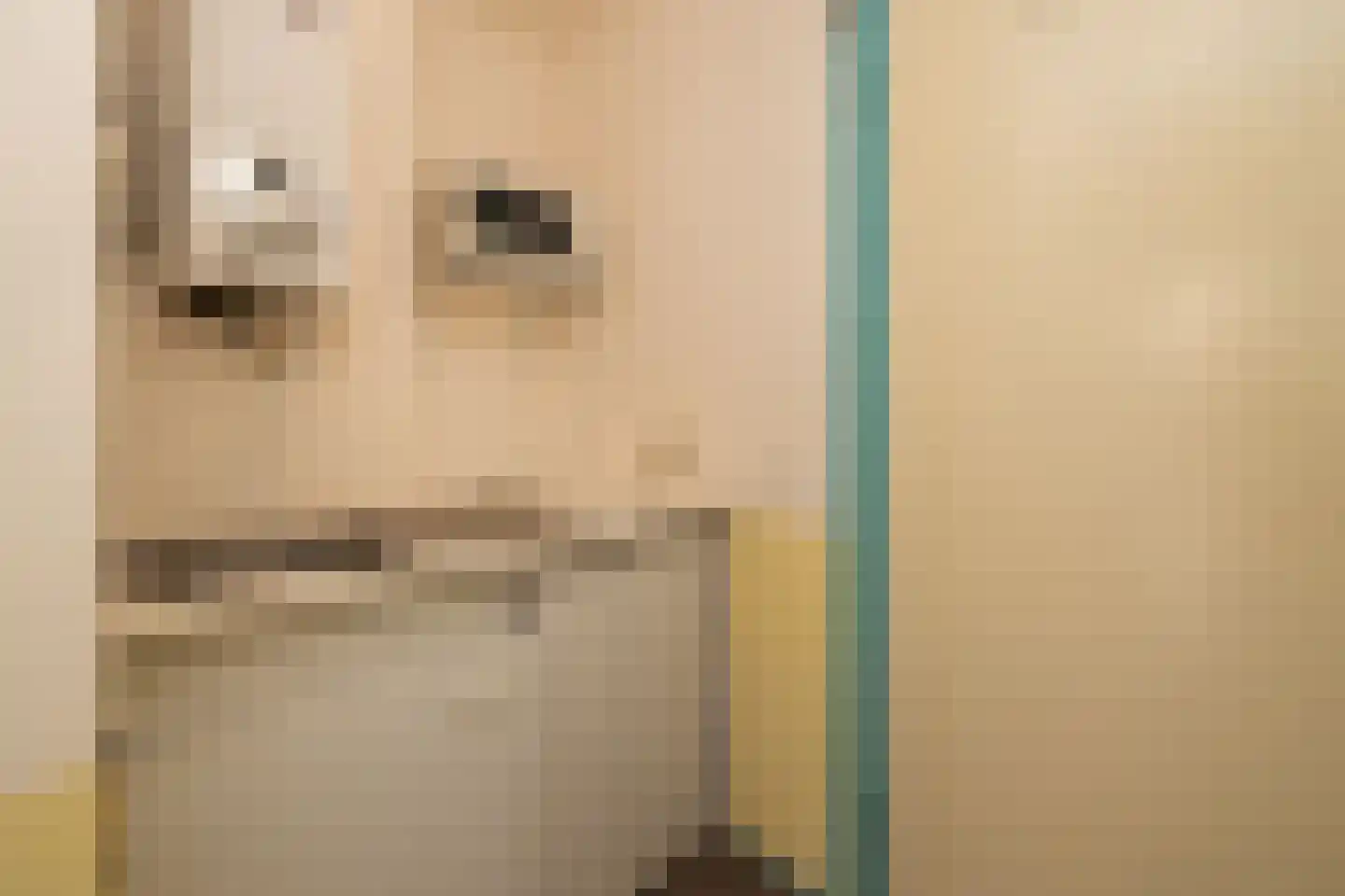 Groot Hertoginnelaan 203 Den Haag thumbnail 14