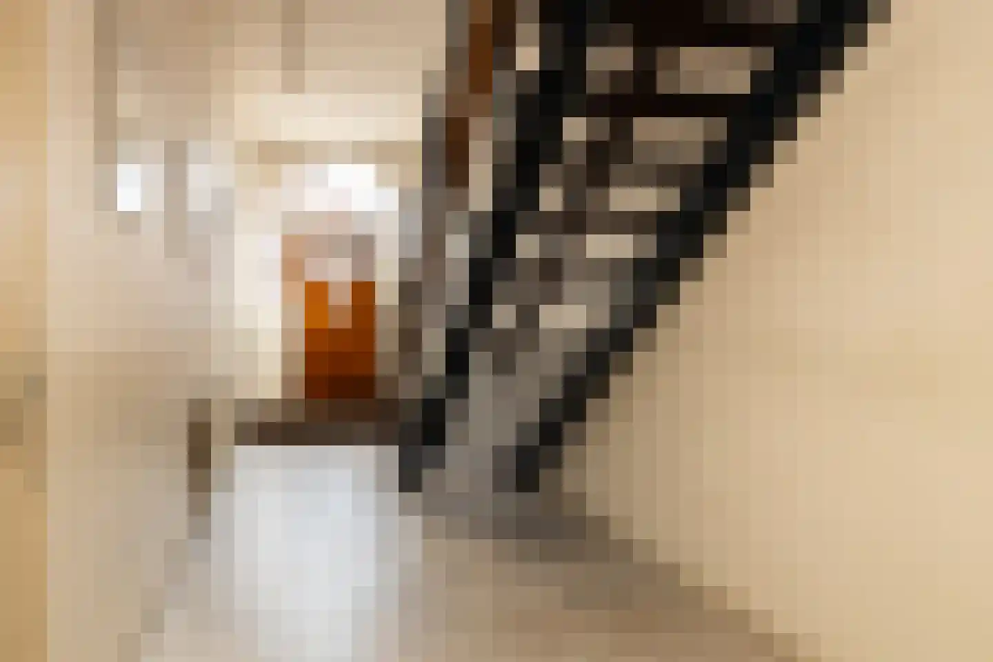 Groot Hertoginnelaan 203 Den Haag thumbnail 15