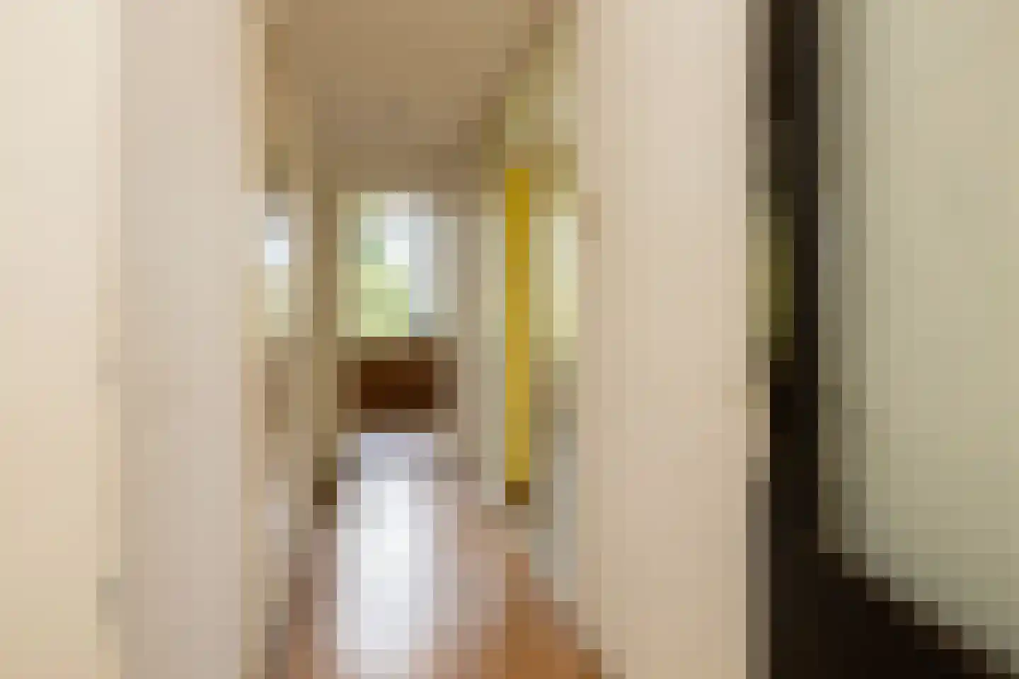 Groot Hertoginnelaan 203 Den Haag thumbnail 17