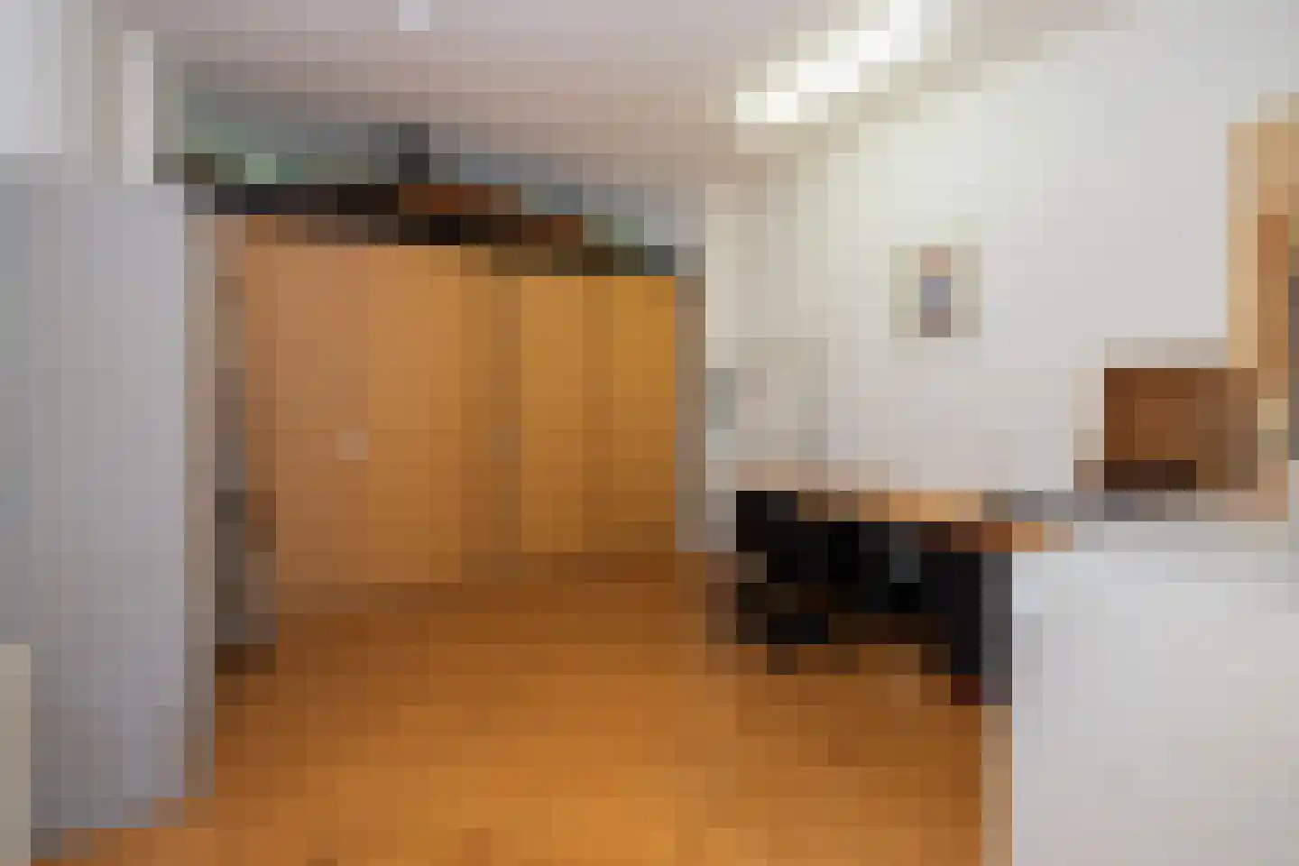 Groot Hertoginnelaan 203 Den Haag thumbnail 22