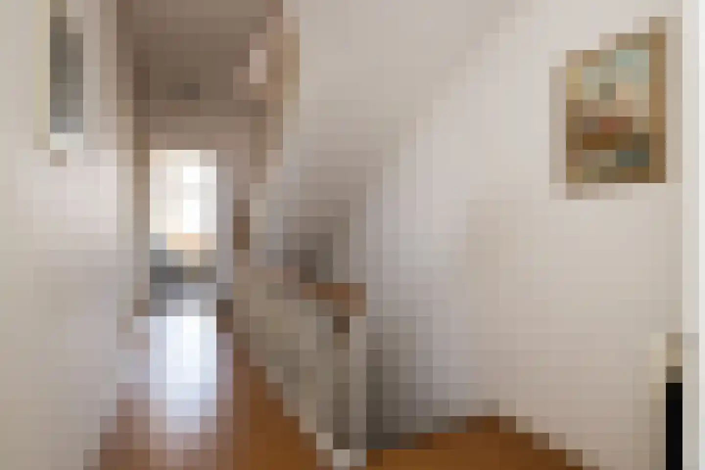 Groot Hertoginnelaan 203 Den Haag thumbnail 27