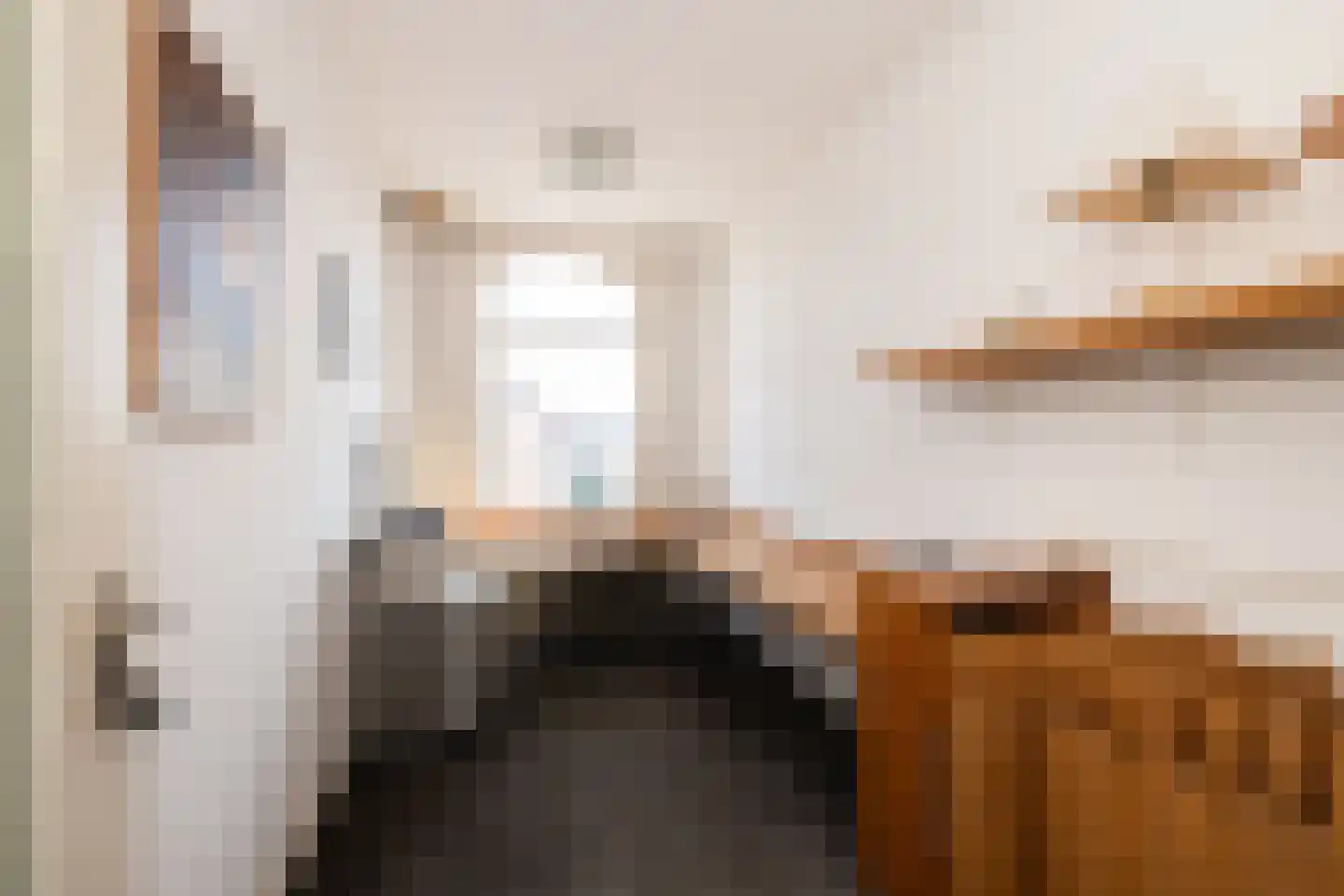 Groot Hertoginnelaan 203 Den Haag thumbnail 28