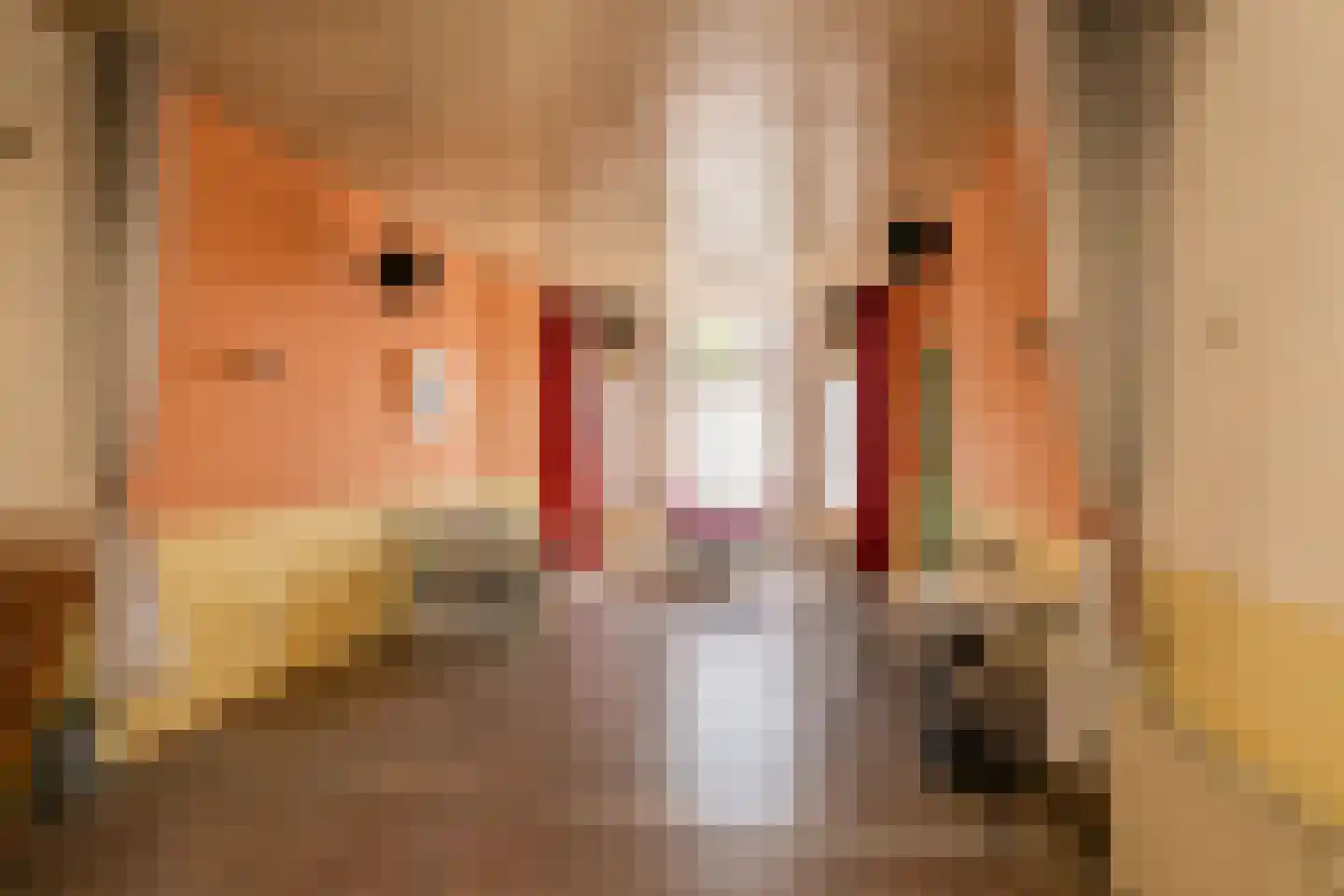 Groot Hertoginnelaan 203 Den Haag thumbnail 4