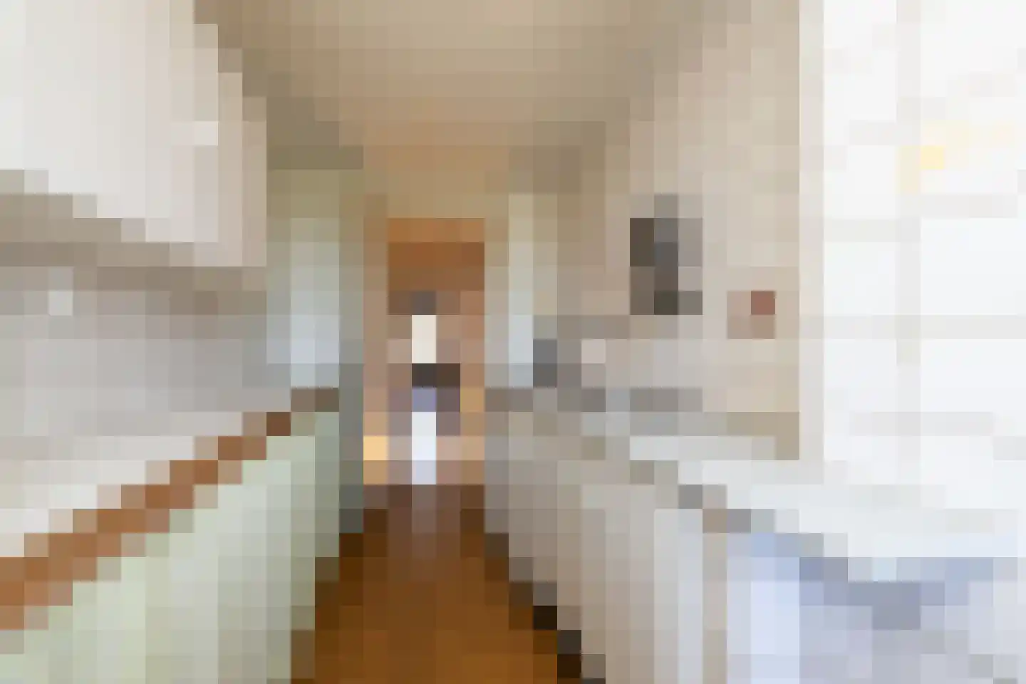 Groot Hertoginnelaan 203 Den Haag thumbnail 45