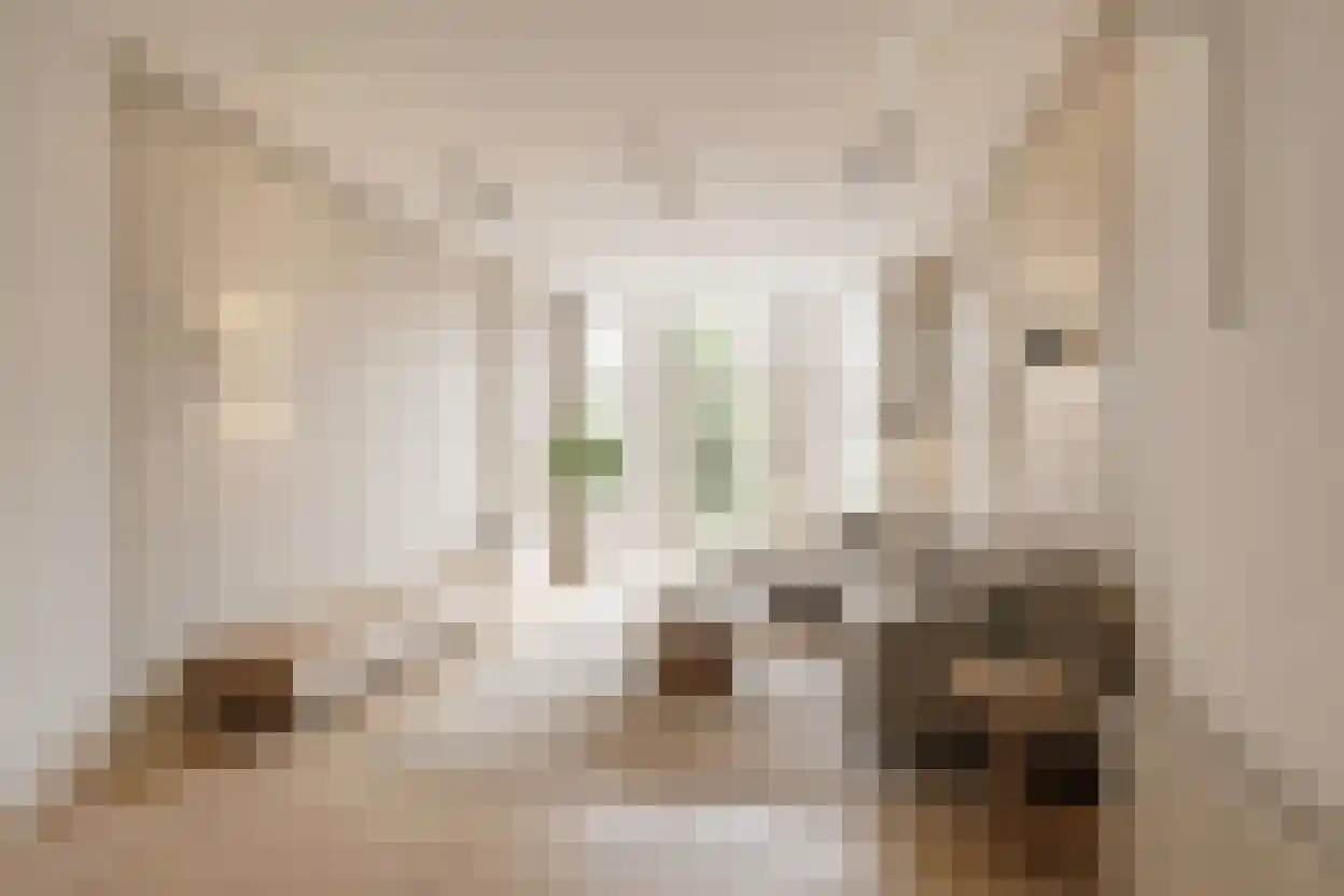 Groot Hertoginnelaan 203 Den Haag thumbnail 5