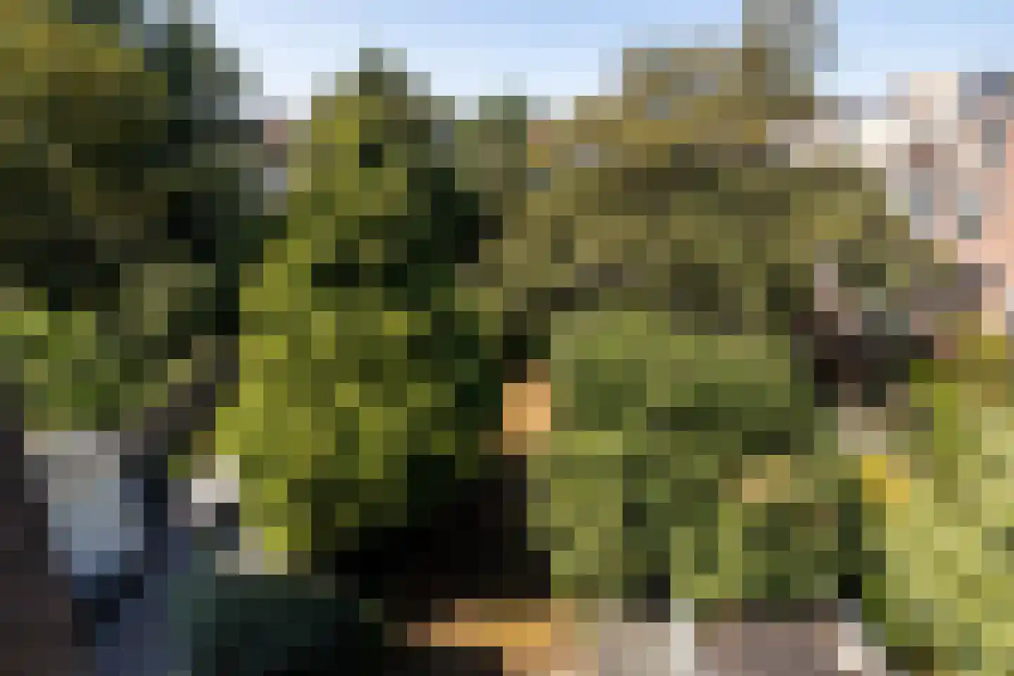 Groot Hertoginnelaan 203 Den Haag thumbnail 52