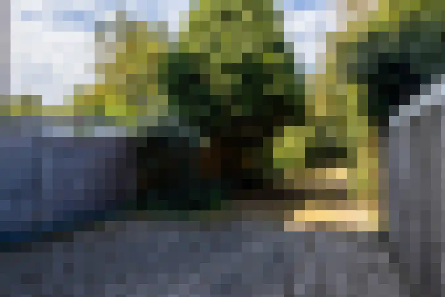 Groot Hertoginnelaan 203 Den Haag thumbnail 53