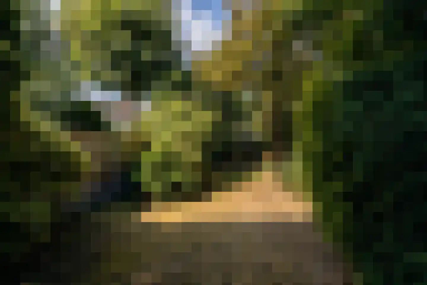 Groot Hertoginnelaan 203 Den Haag thumbnail 54