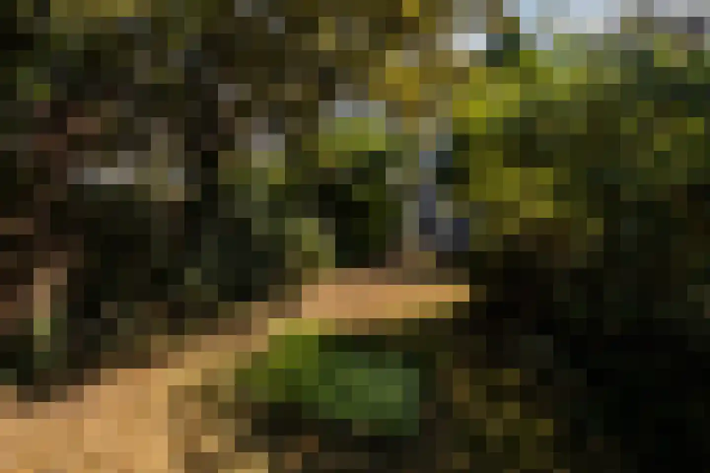 Groot Hertoginnelaan 203 Den Haag thumbnail 55