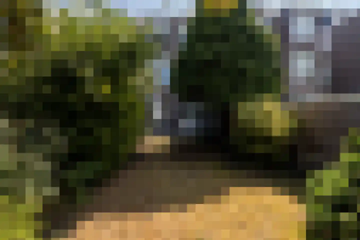 Groot Hertoginnelaan 203 Den Haag thumbnail 56