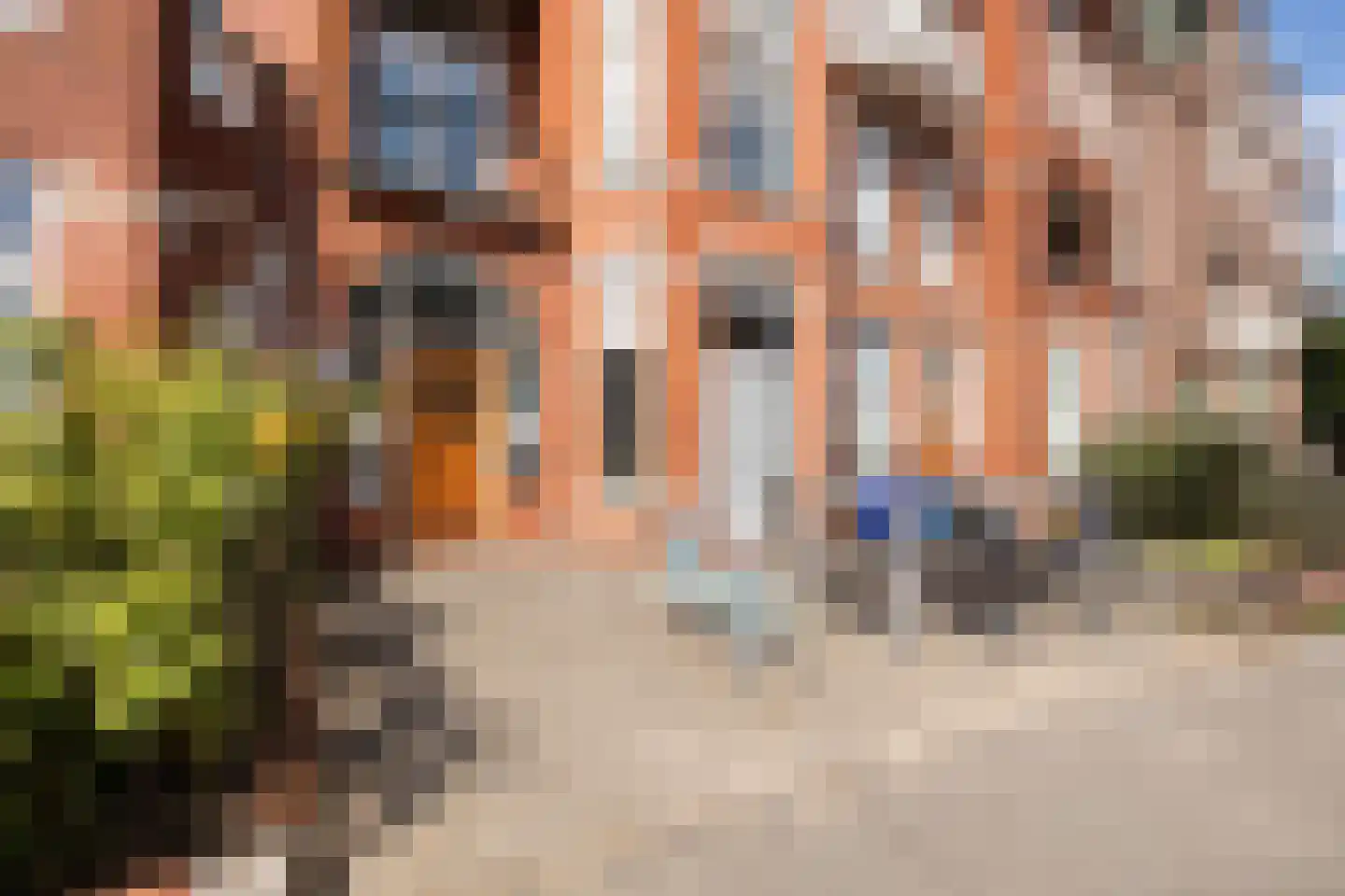 Groot Hertoginnelaan 203 Den Haag thumbnail 58
