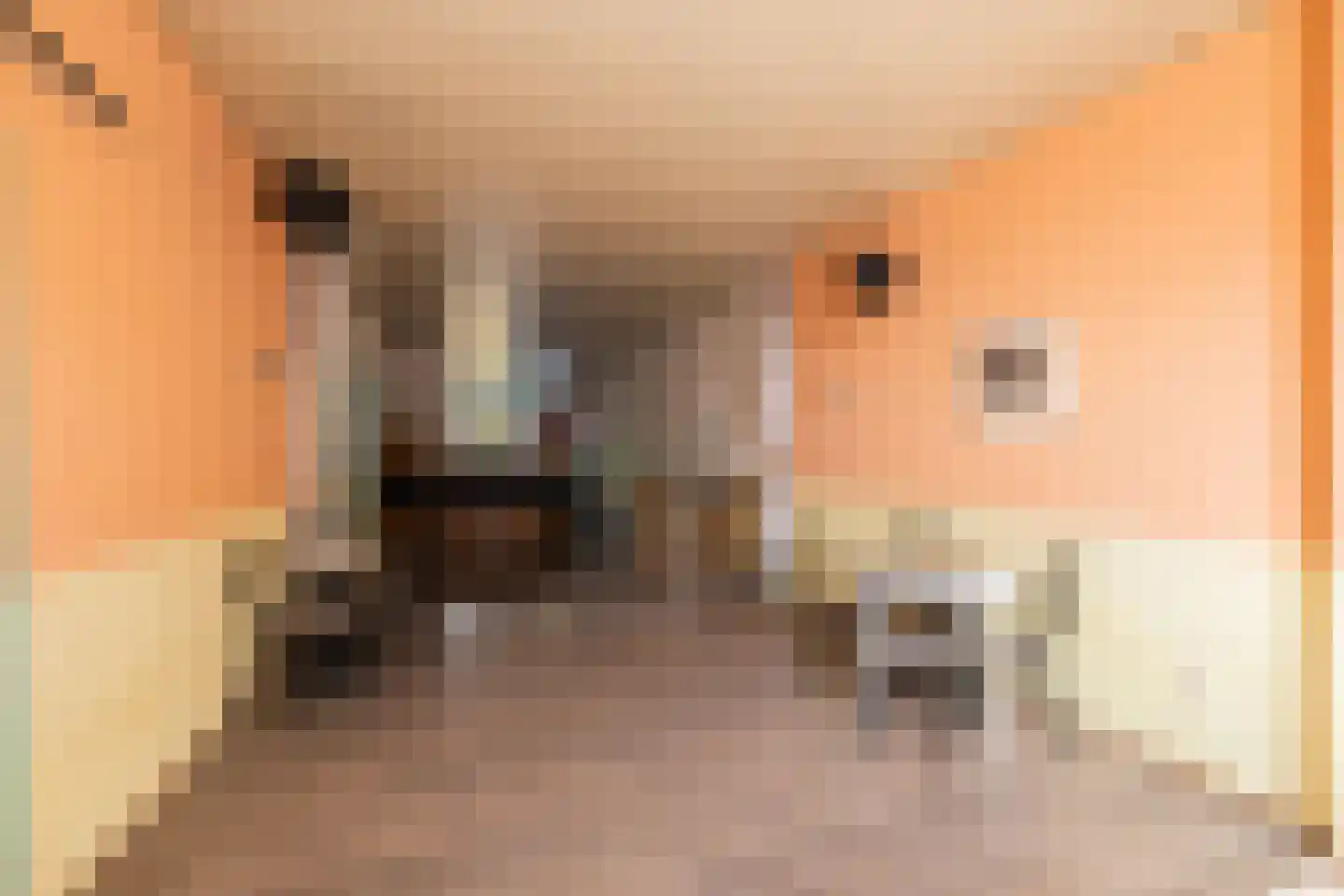 Groot Hertoginnelaan 203 Den Haag thumbnail 6
