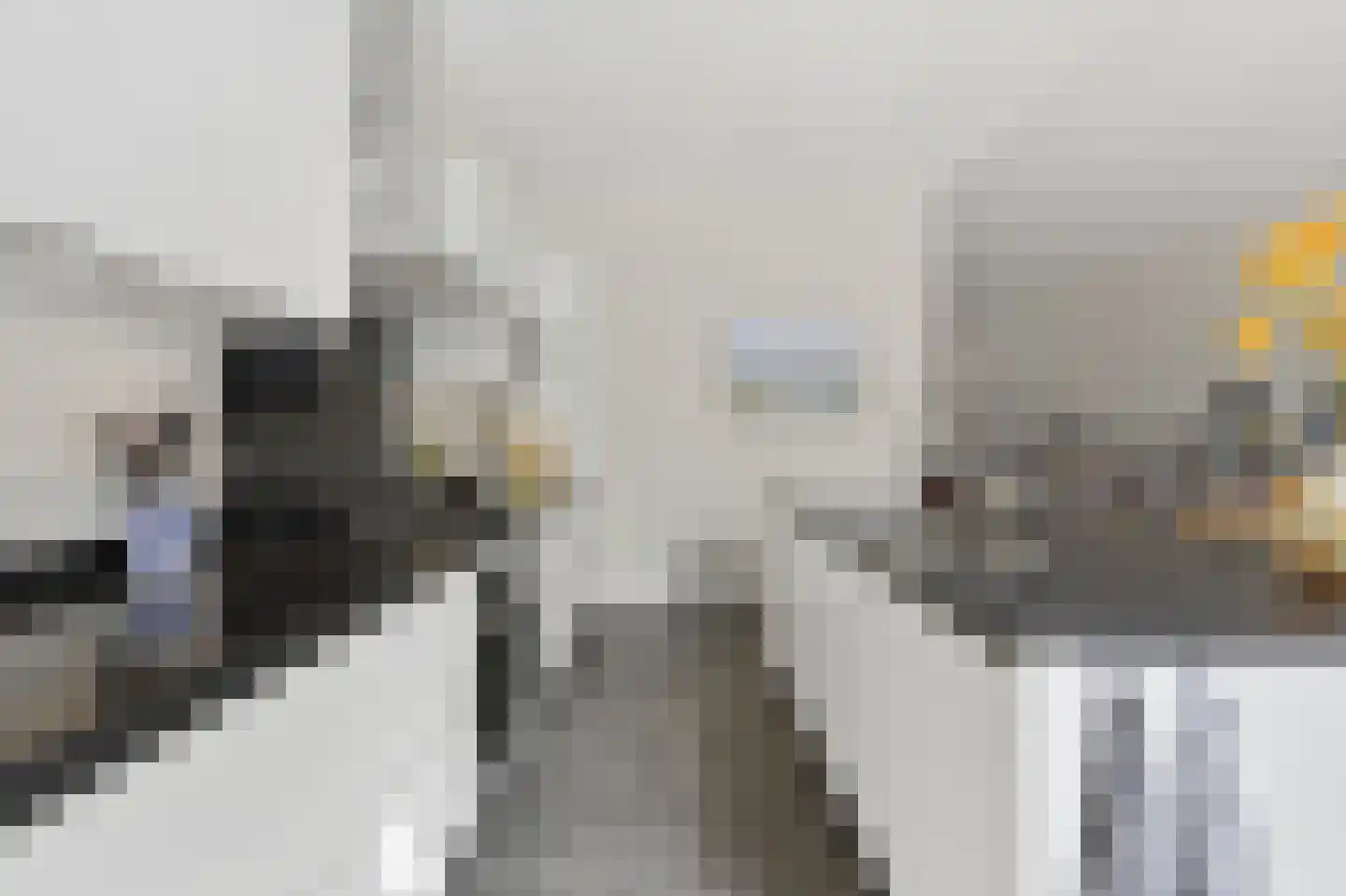 Groot Hertoginnelaan 215 Den Haag thumbnail 11