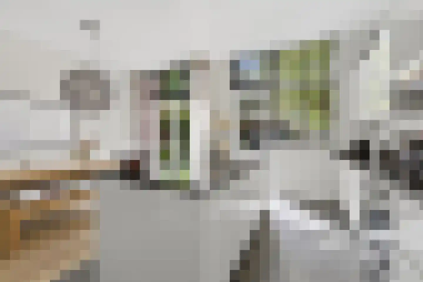 Groot Hertoginnelaan 215 Den Haag thumbnail 12