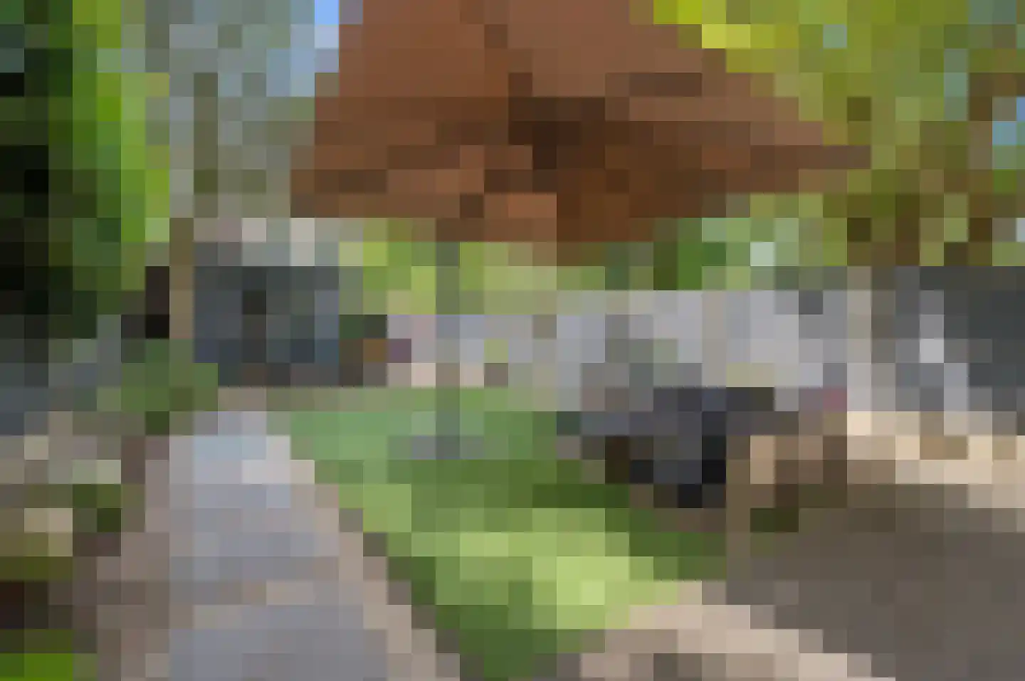 Groot Hertoginnelaan 215 Den Haag thumbnail 16