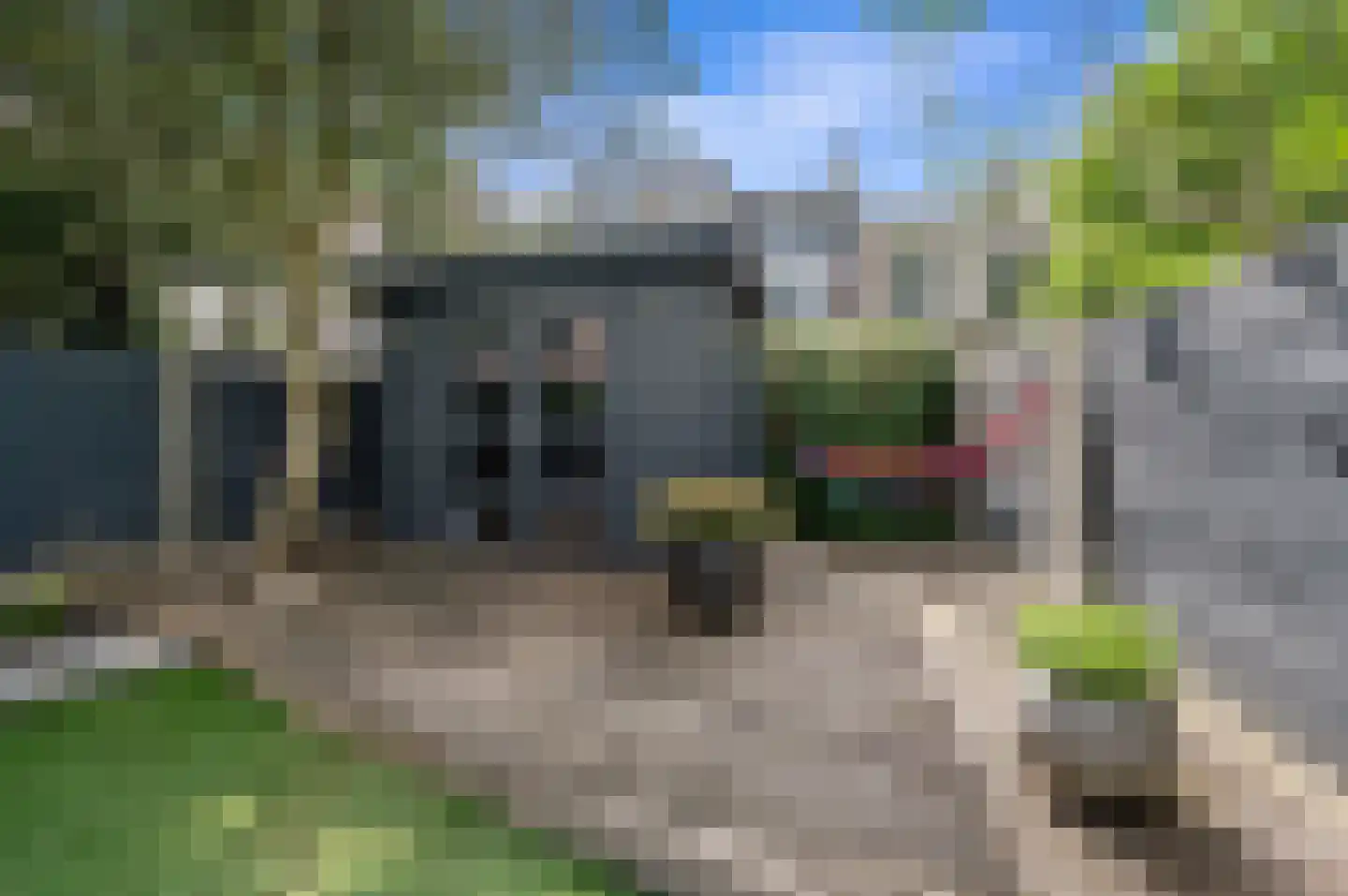 Groot Hertoginnelaan 215 Den Haag thumbnail 20