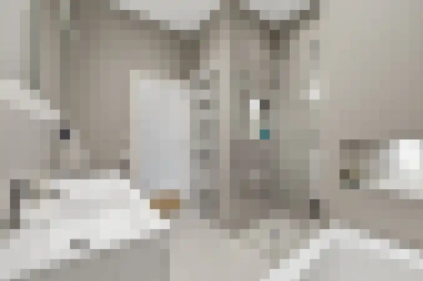 Groot Hertoginnelaan 215 Den Haag thumbnail 27