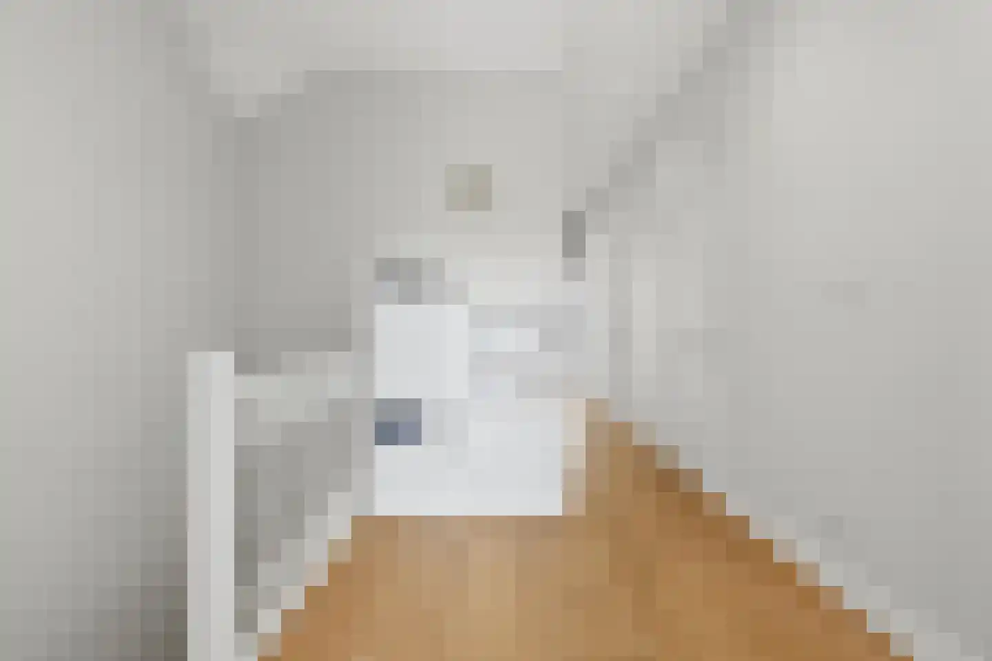 Groot Hertoginnelaan 215 Den Haag thumbnail 30