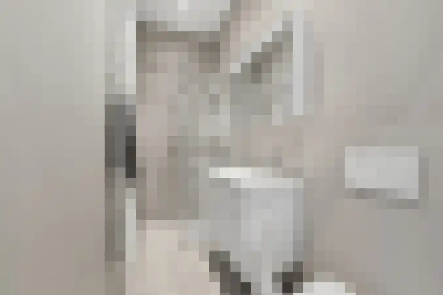 Groot Hertoginnelaan 215 Den Haag thumbnail 31