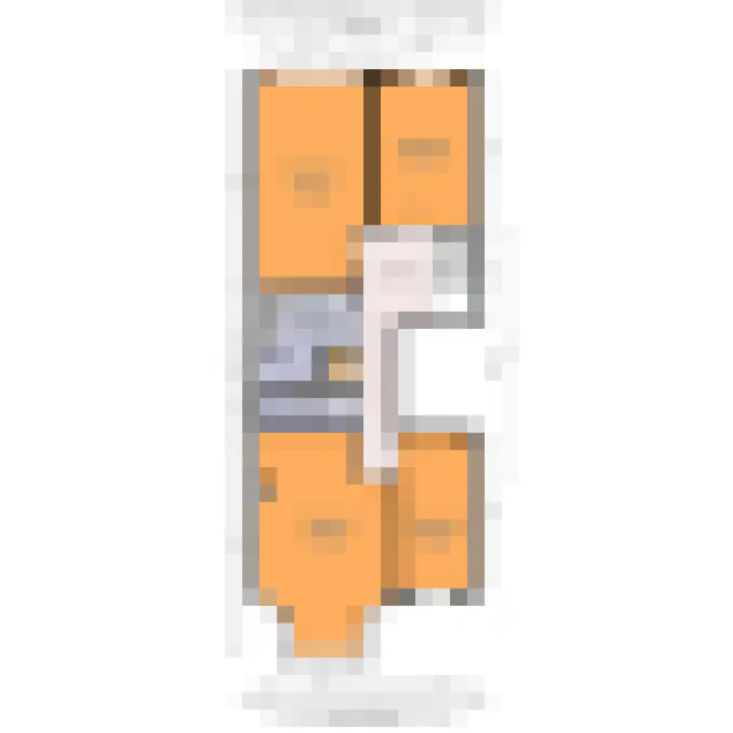 Groot Hertoginnelaan 215 Den Haag thumbnail 38