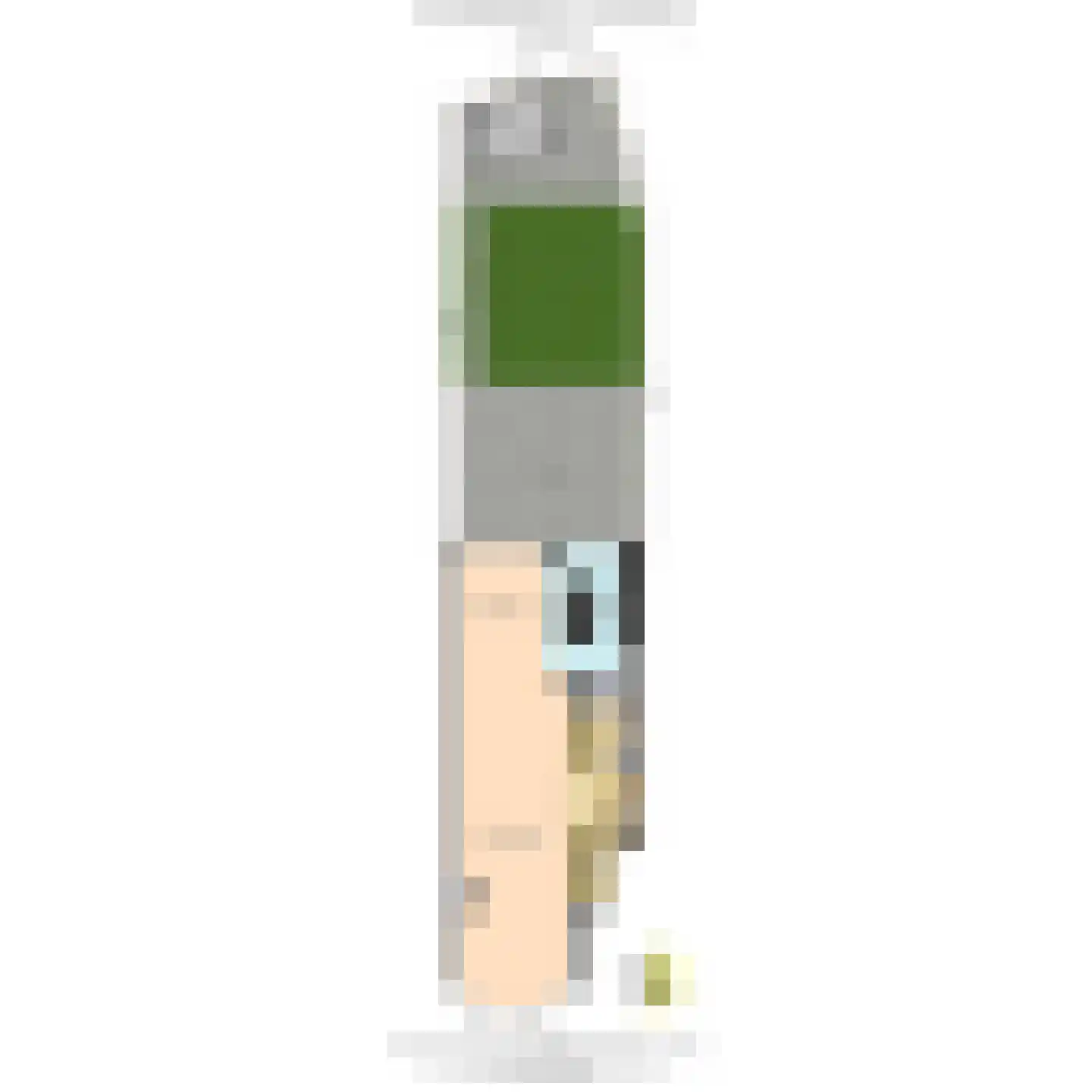 Groot Hertoginnelaan 215 Den Haag thumbnail 40