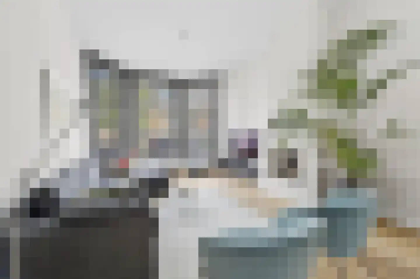 Groot Hertoginnelaan 215 Den Haag thumbnail 5