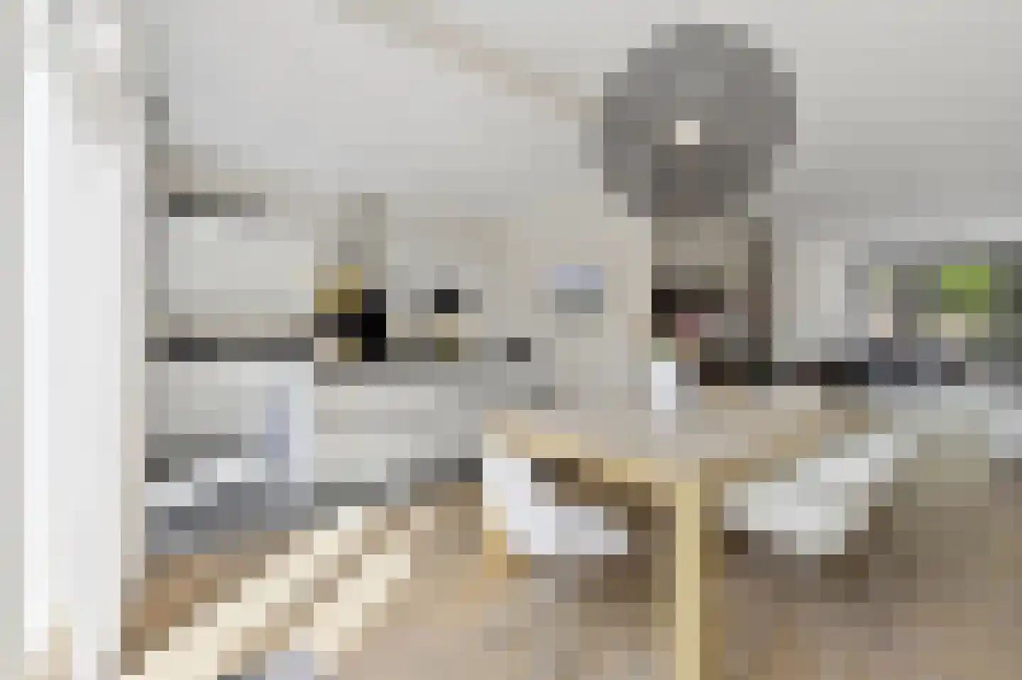 Groot Hertoginnelaan 215 Den Haag thumbnail 9