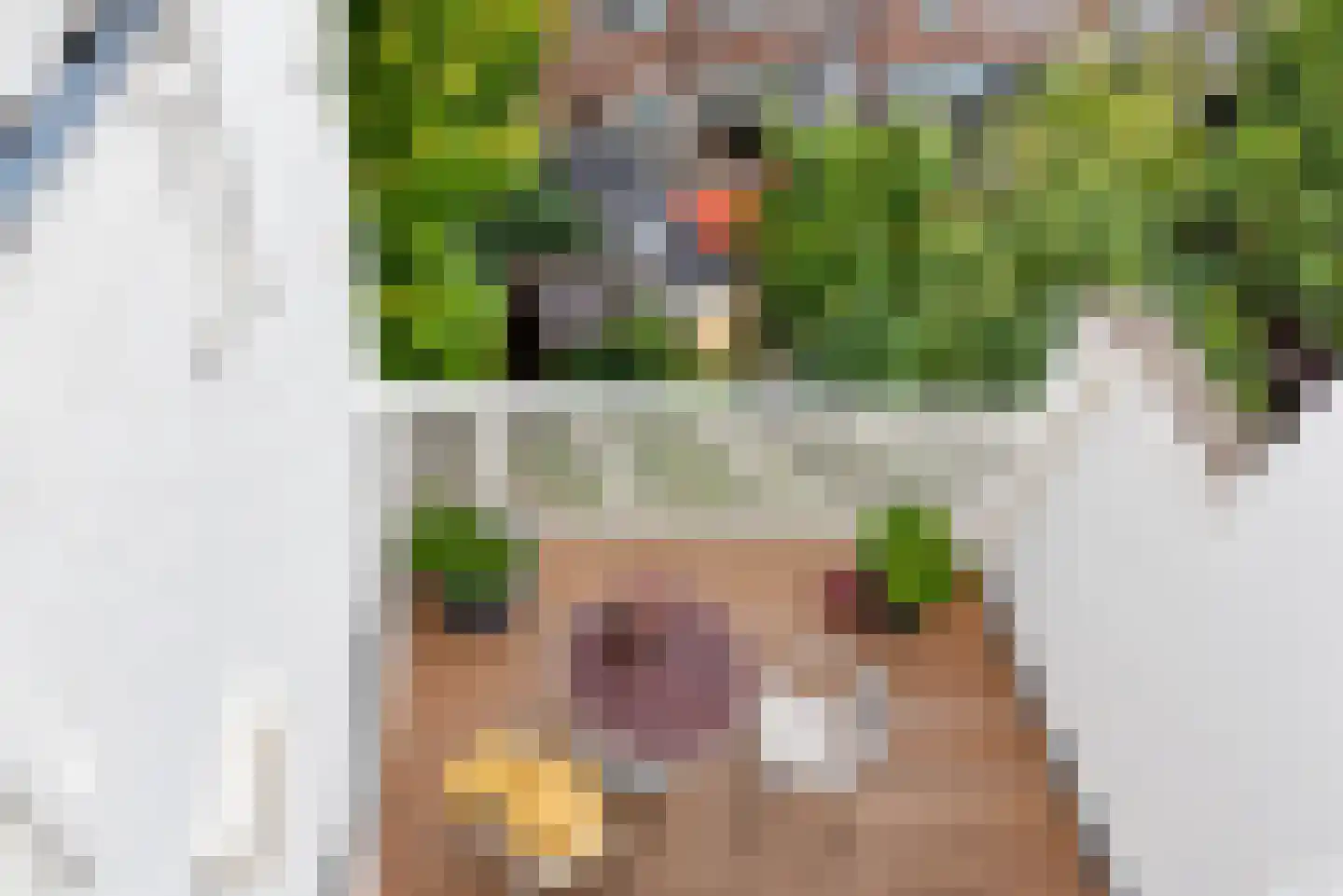 Groot Hertoginnelaan 223 B Den Haag thumbnail 10