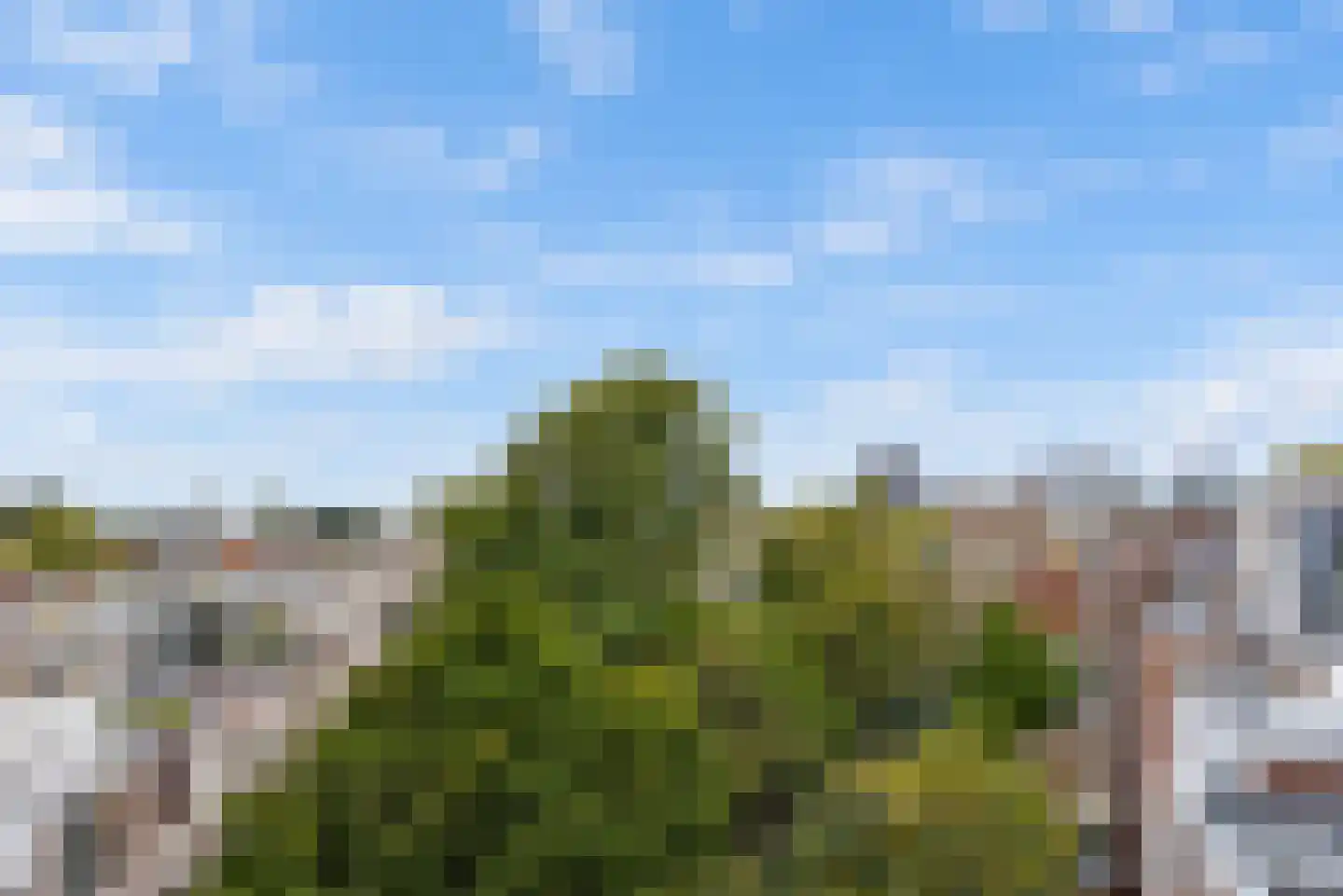 Groot Hertoginnelaan 223 B Den Haag thumbnail 14