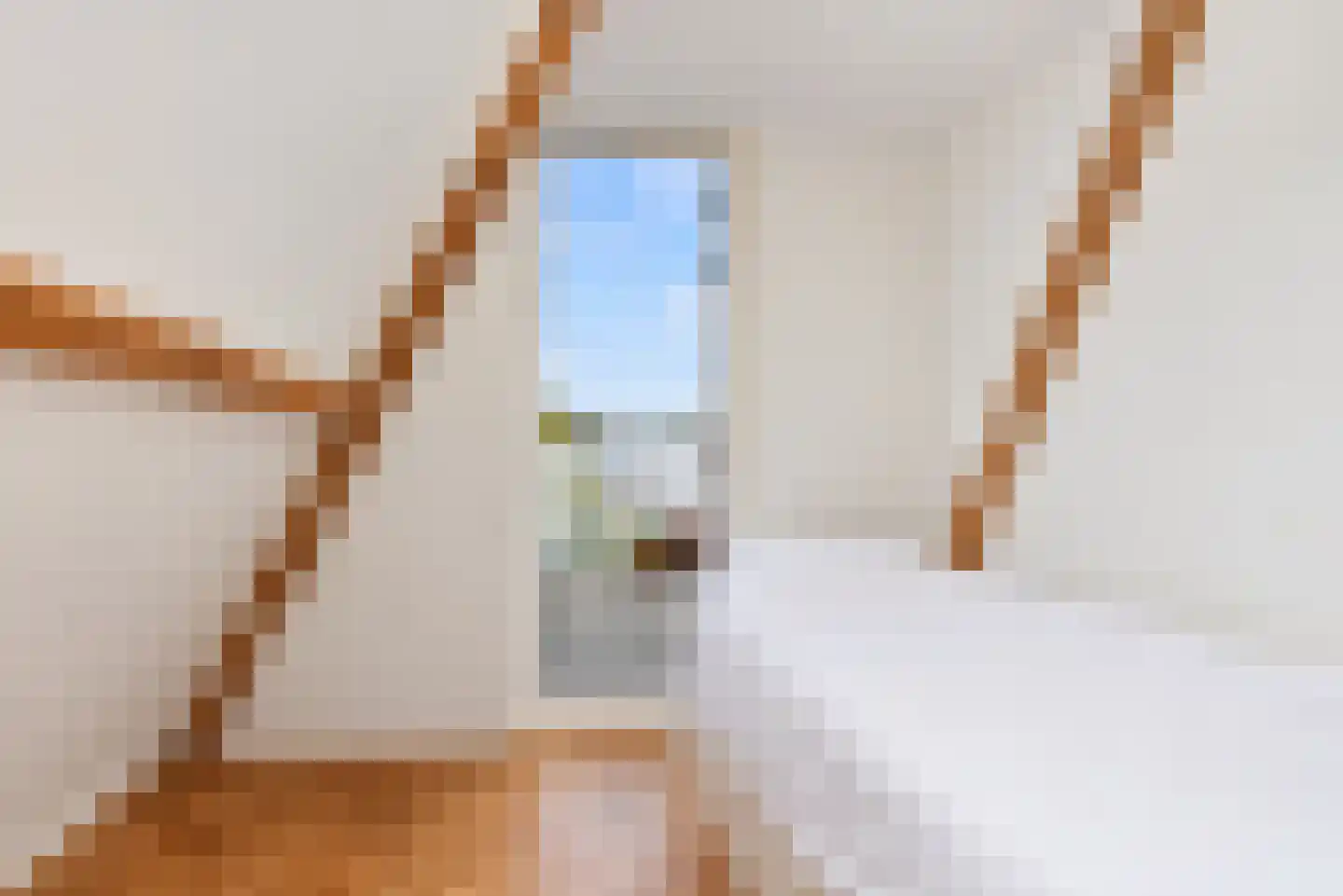 Groot Hertoginnelaan 223 B Den Haag thumbnail 17