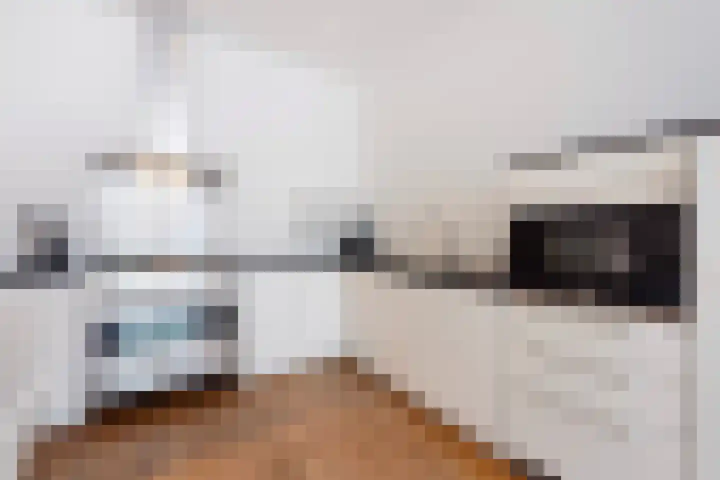 Groot Hertoginnelaan 223 Den Haag thumbnail 13