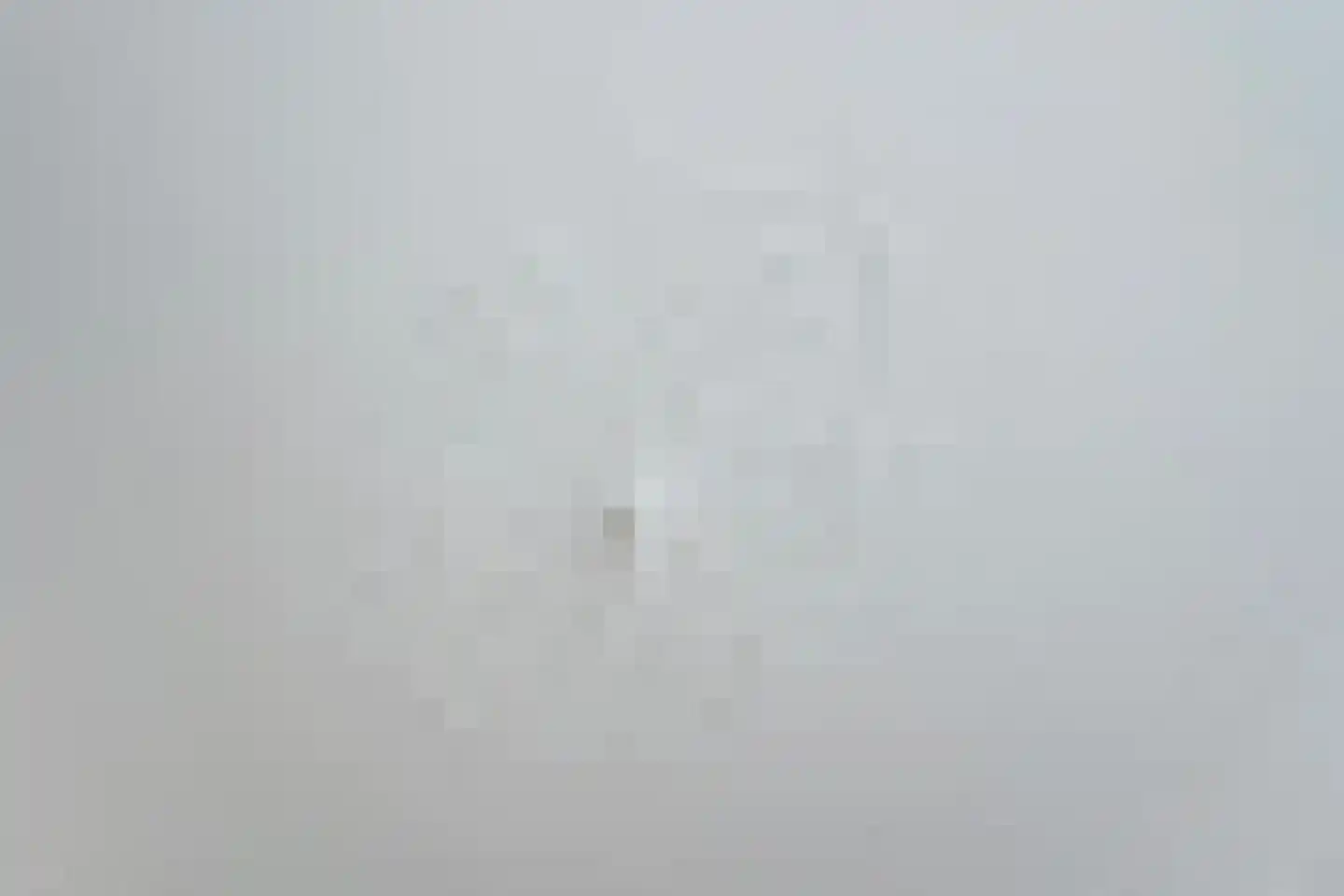 Groot Hertoginnelaan 223 Den Haag thumbnail 21