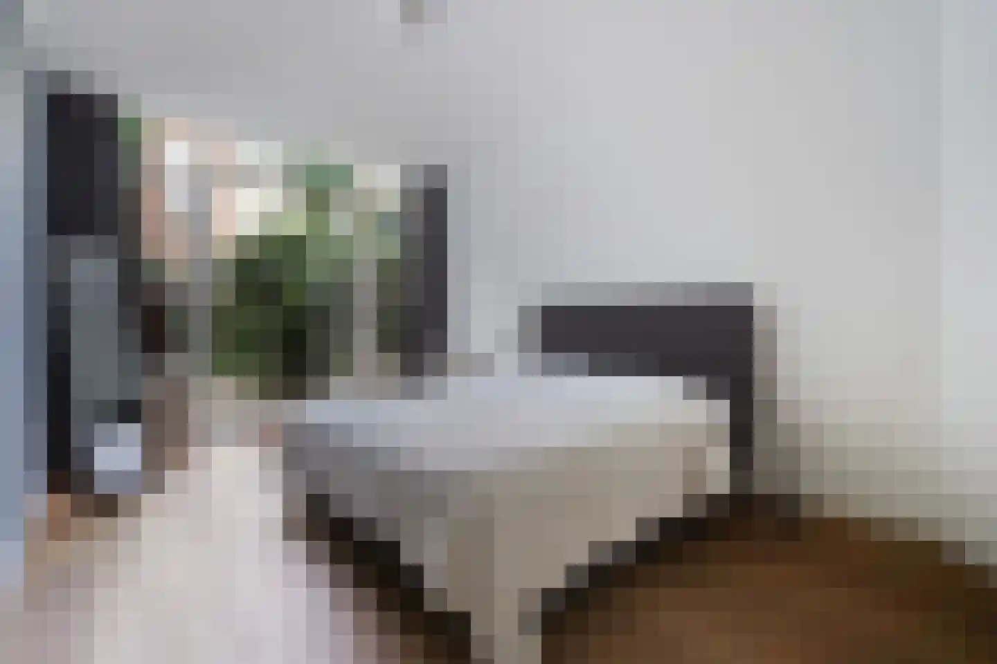 Groot Hertoginnelaan 223 Den Haag thumbnail 23