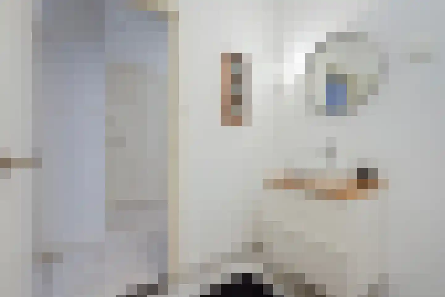 Groot Hertoginnelaan 223 Den Haag thumbnail 29