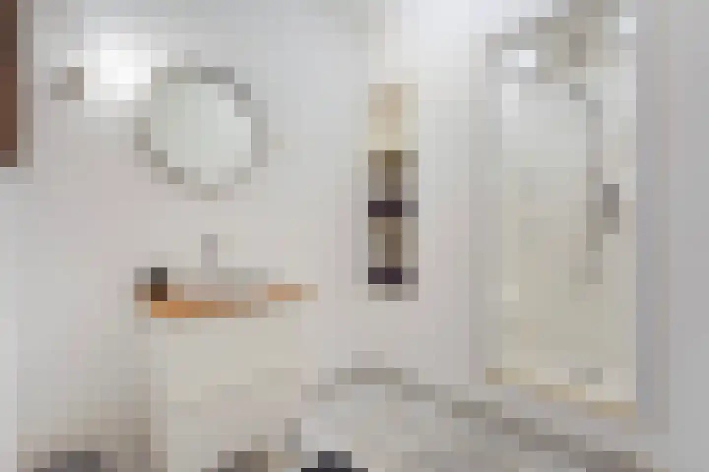 Groot Hertoginnelaan 223 Den Haag thumbnail 31