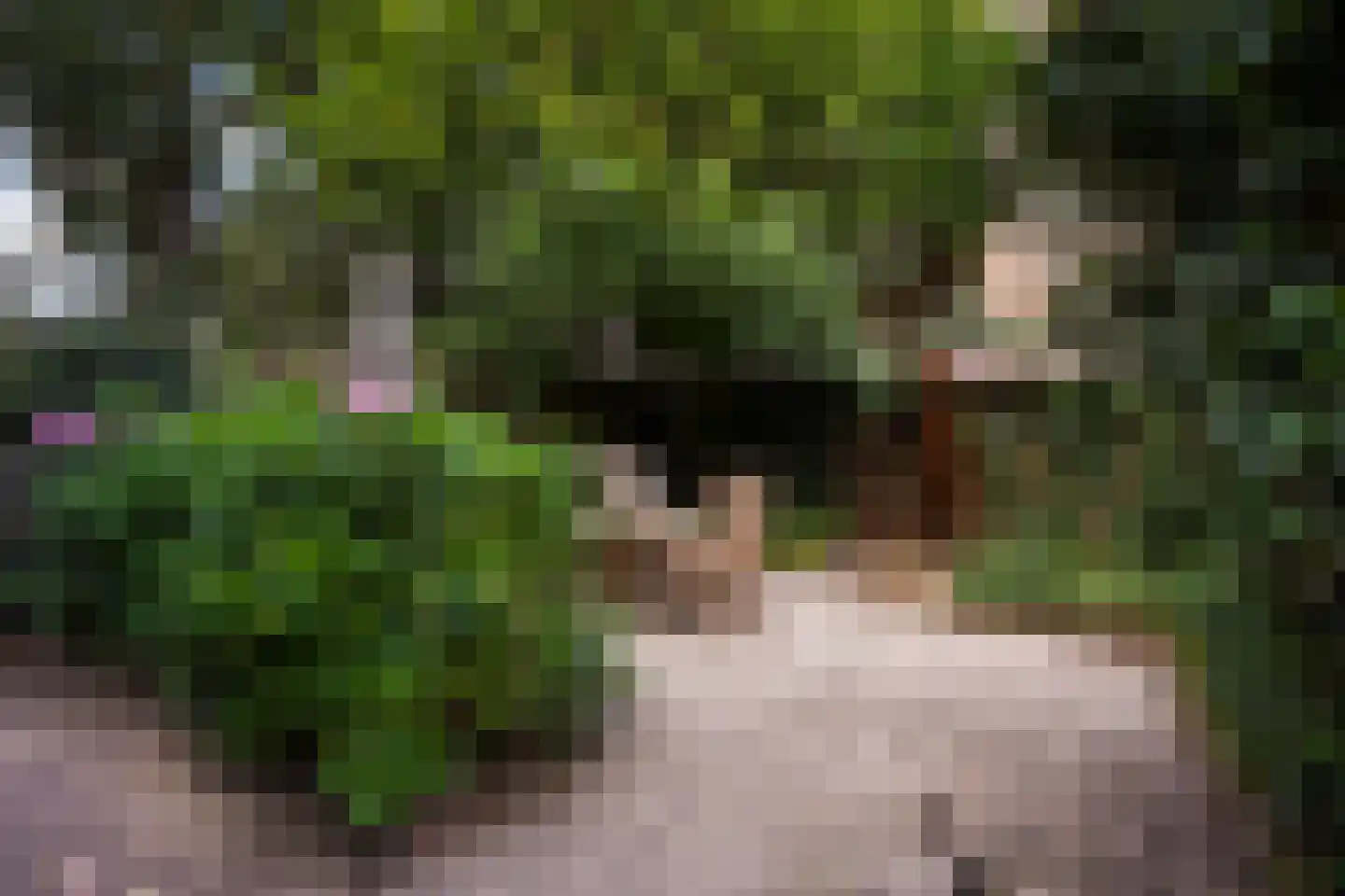 Groot Hertoginnelaan 223 Den Haag thumbnail 34