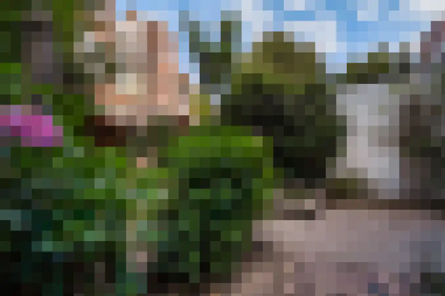 Groot Hertoginnelaan 223 Den Haag thumbnail 35