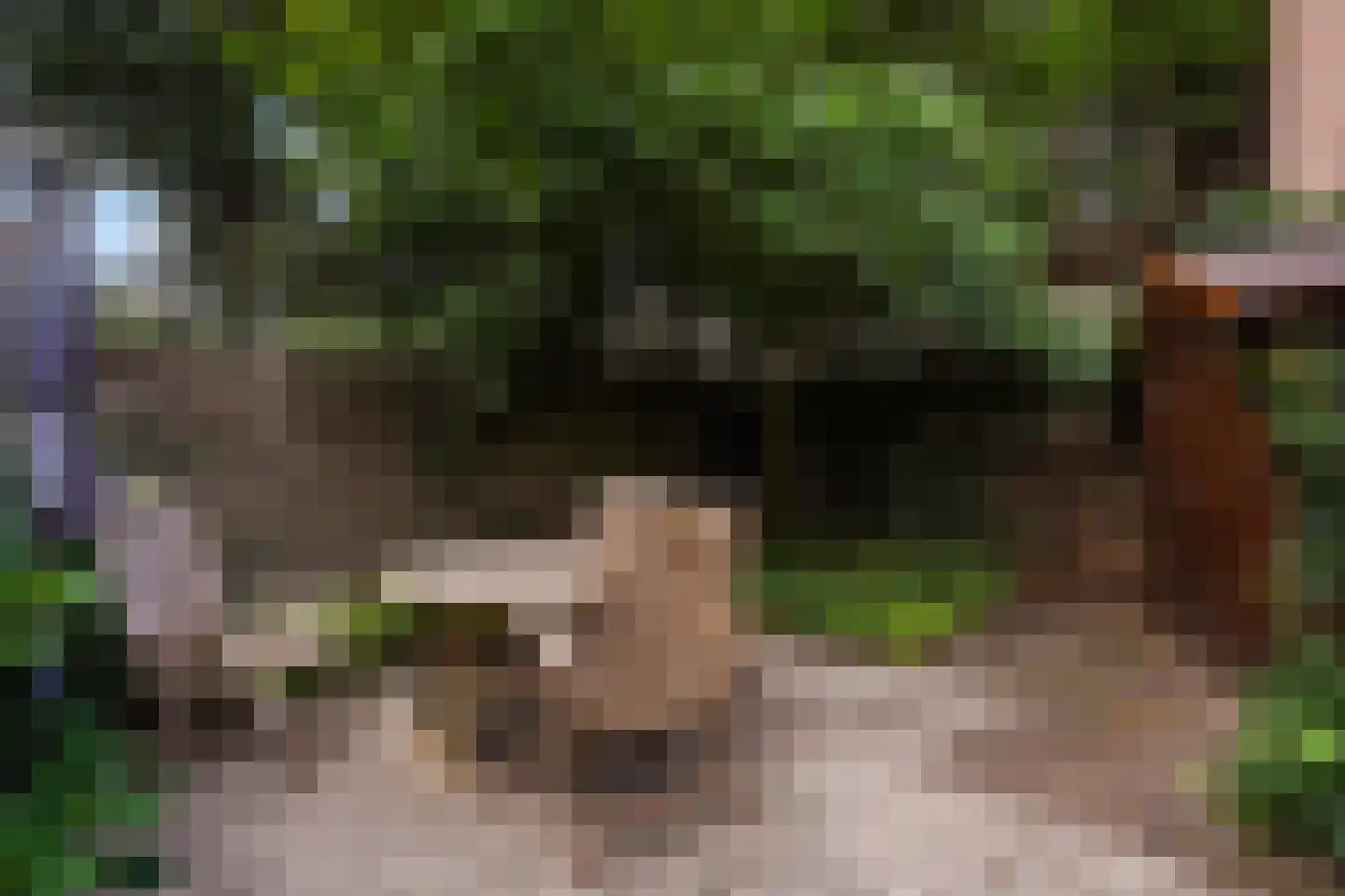 Groot Hertoginnelaan 223 Den Haag thumbnail 36