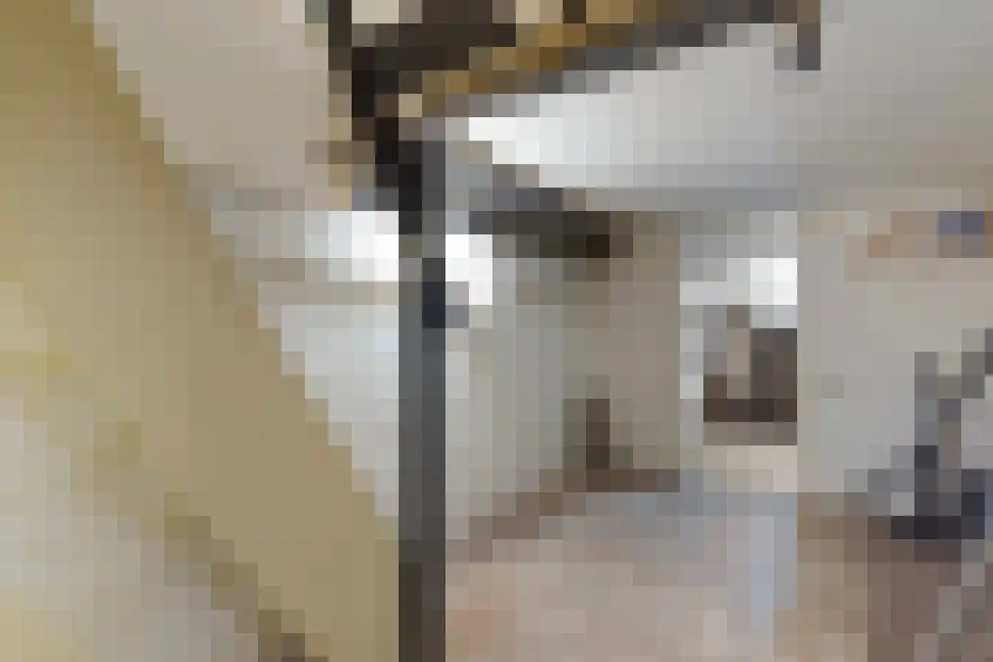 Groot Hertoginnelaan 223 Den Haag thumbnail 39