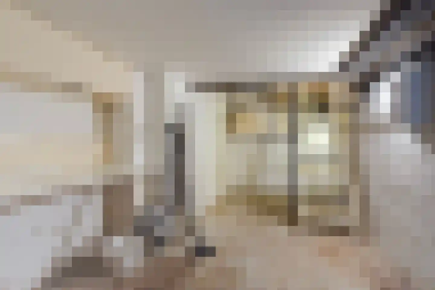 Groot Hertoginnelaan 223 Den Haag thumbnail 40