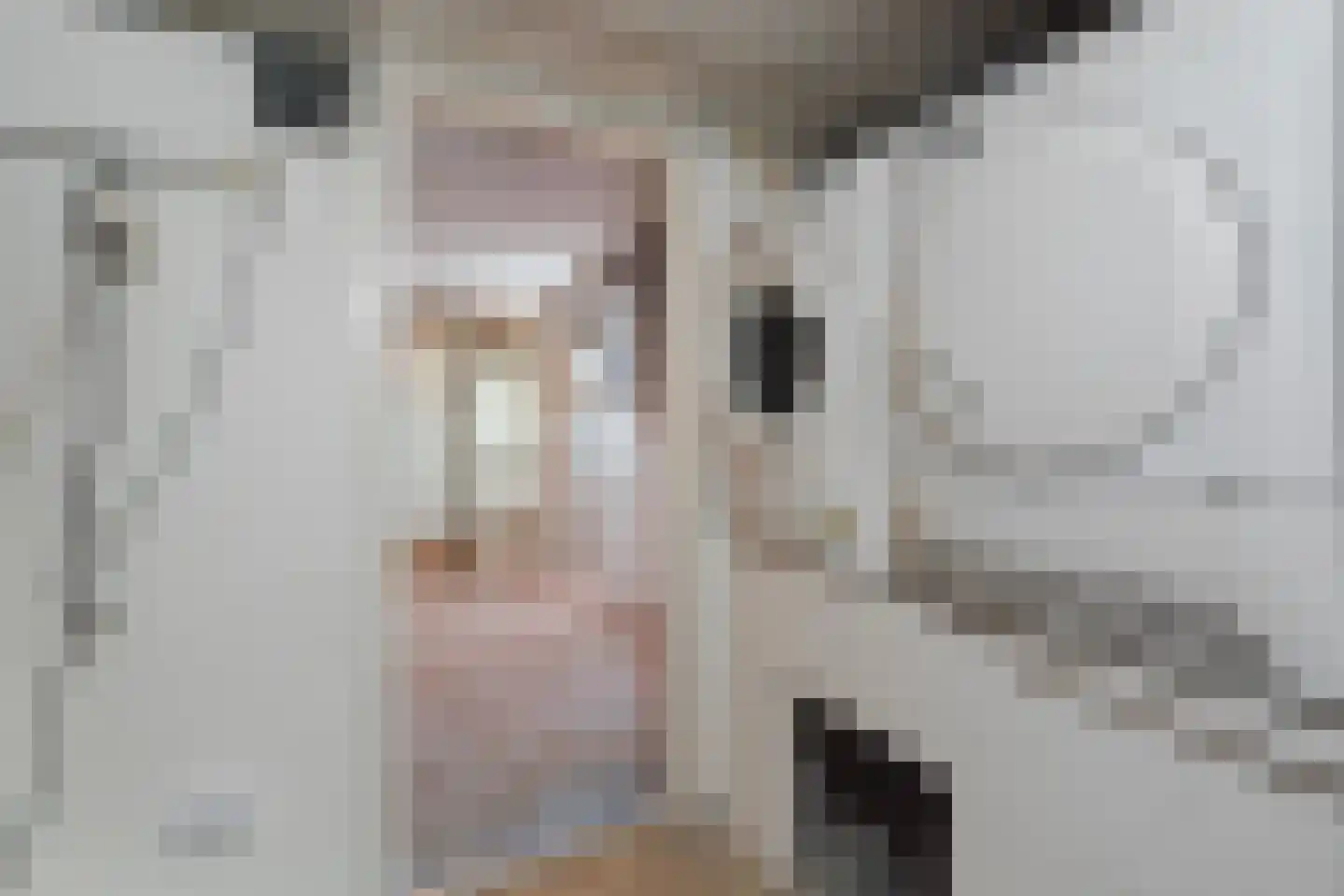 Groot Hertoginnelaan 223 Den Haag thumbnail 41