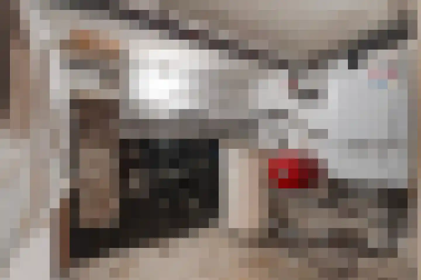 Groot Hertoginnelaan 223 Den Haag thumbnail 42