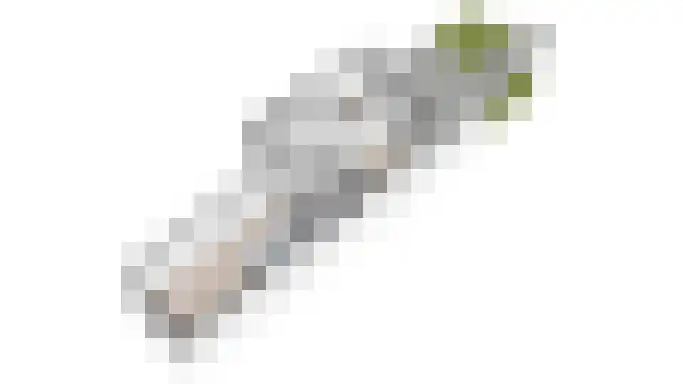 Groot Hertoginnelaan 223 Den Haag thumbnail 49