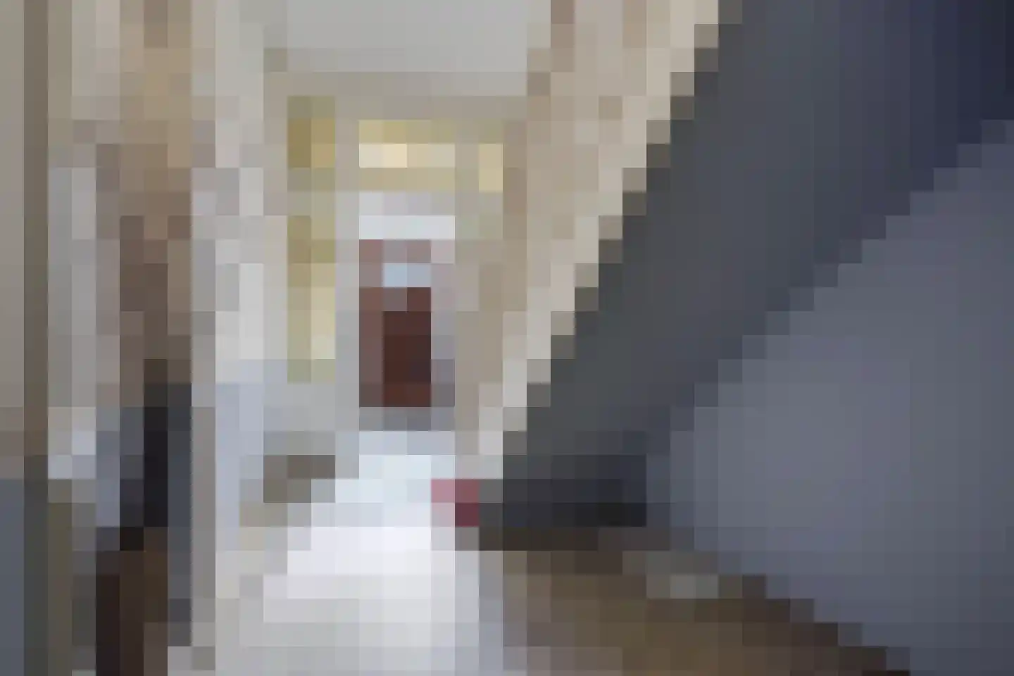 Groot Hertoginnelaan 223 Den Haag thumbnail 6