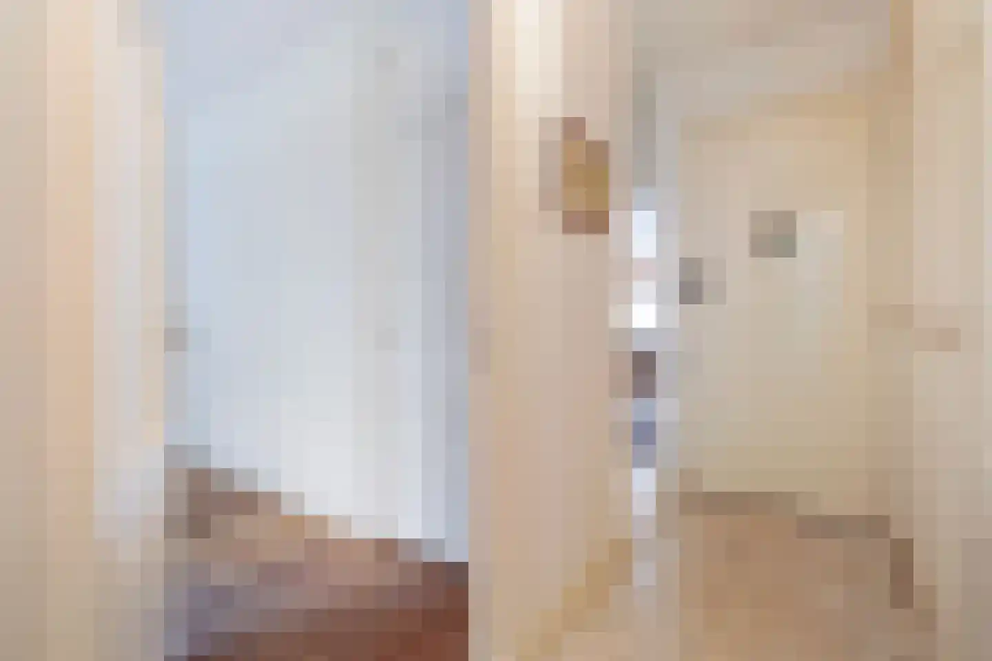 Groot Hertoginnelaan 223 Den Haag thumbnail 9