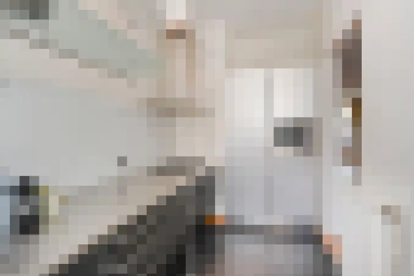 Groot Hertoginnelaan 257 Den Haag thumbnail 22