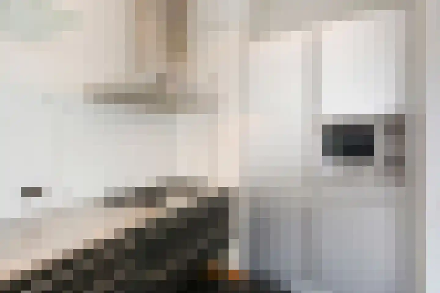 Groot Hertoginnelaan 257 Den Haag thumbnail 24