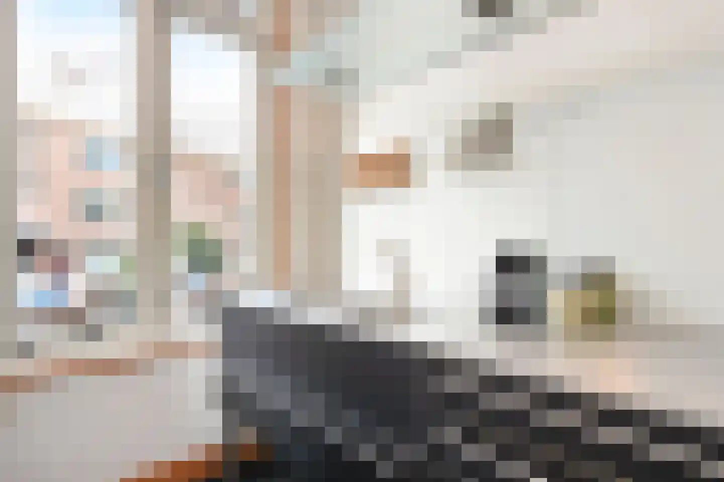Groot Hertoginnelaan 257 Den Haag thumbnail 25