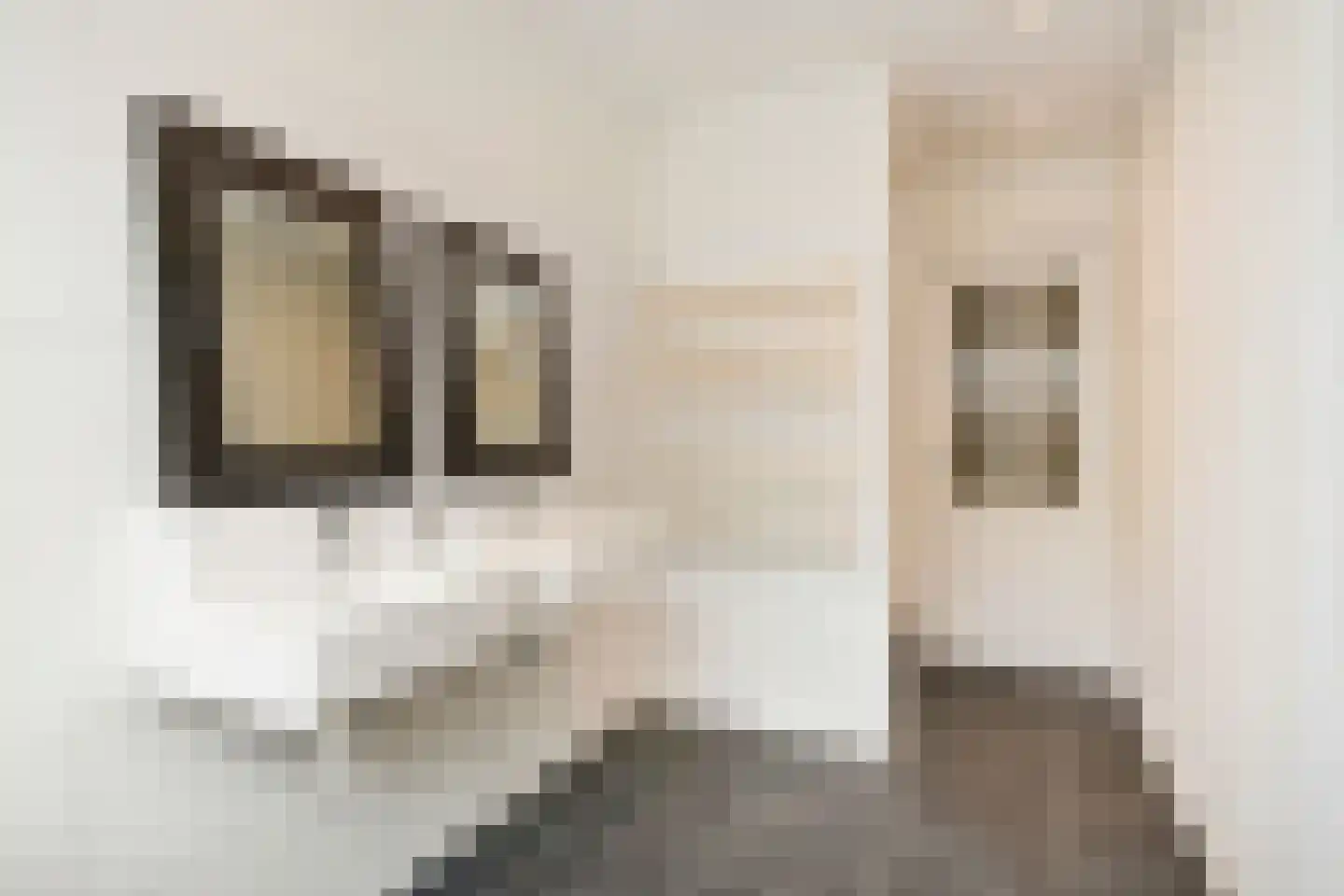 Groot Hertoginnelaan 257 Den Haag thumbnail 38