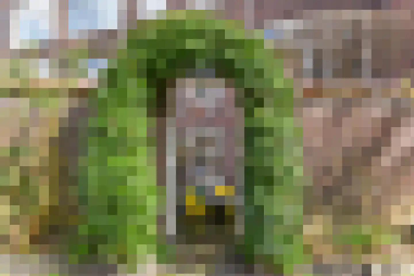 Groot Hertoginnelaan 257 Den Haag thumbnail 42